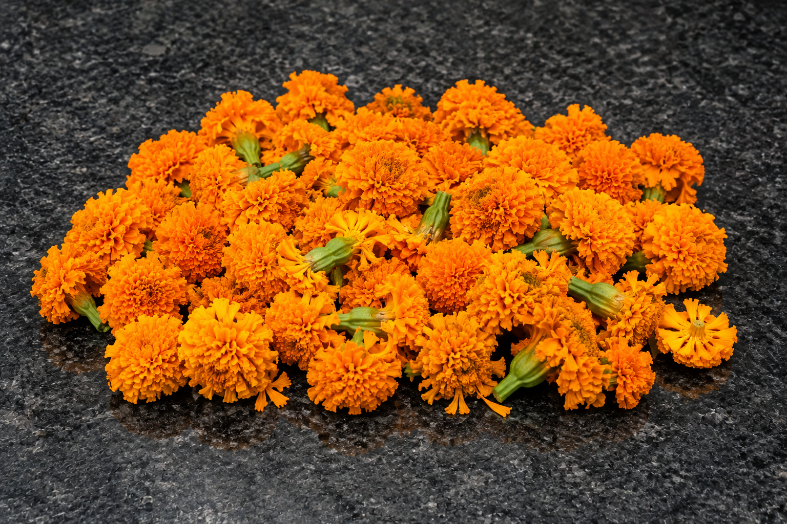 Dried marigold